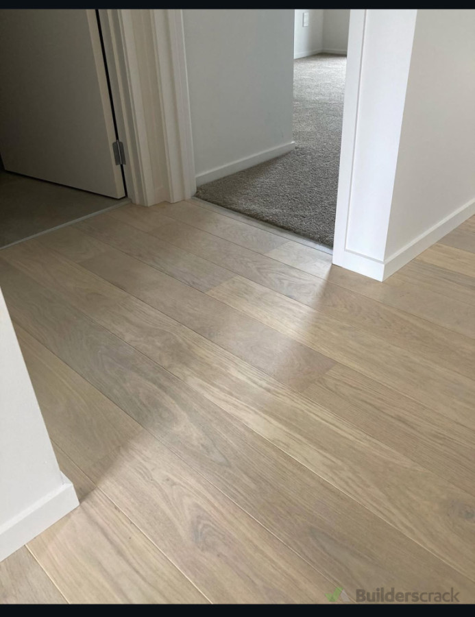 Laminate and Carpet