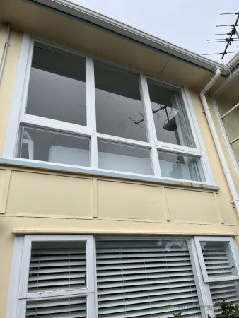 Before Photo