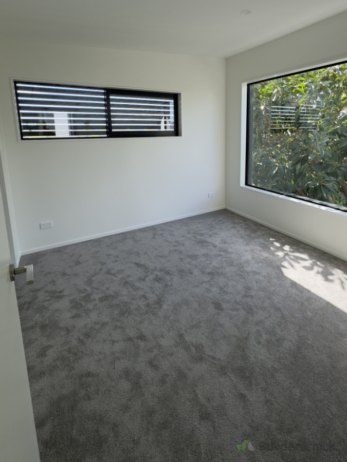 New Carpet