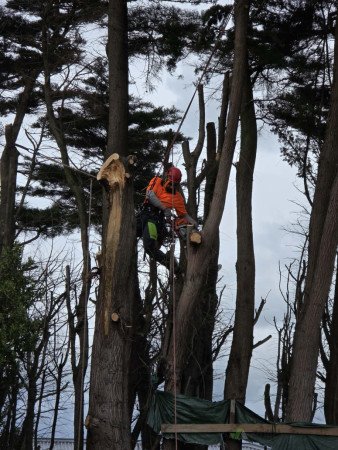 Why make a foothold..