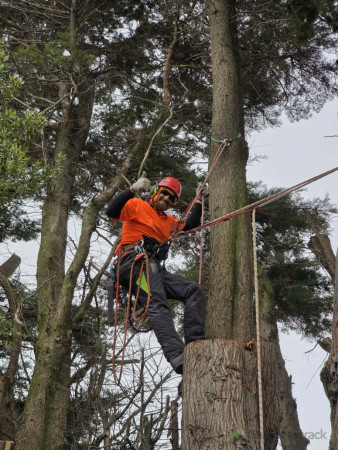 When you can have a seat!