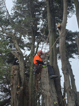 Smoko! I'll take my coffee up here, please