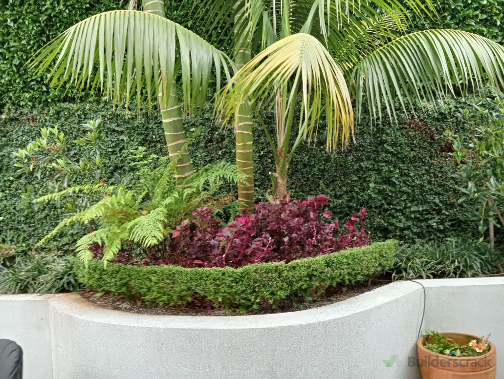 Sub-tropical garden Freemans Bay