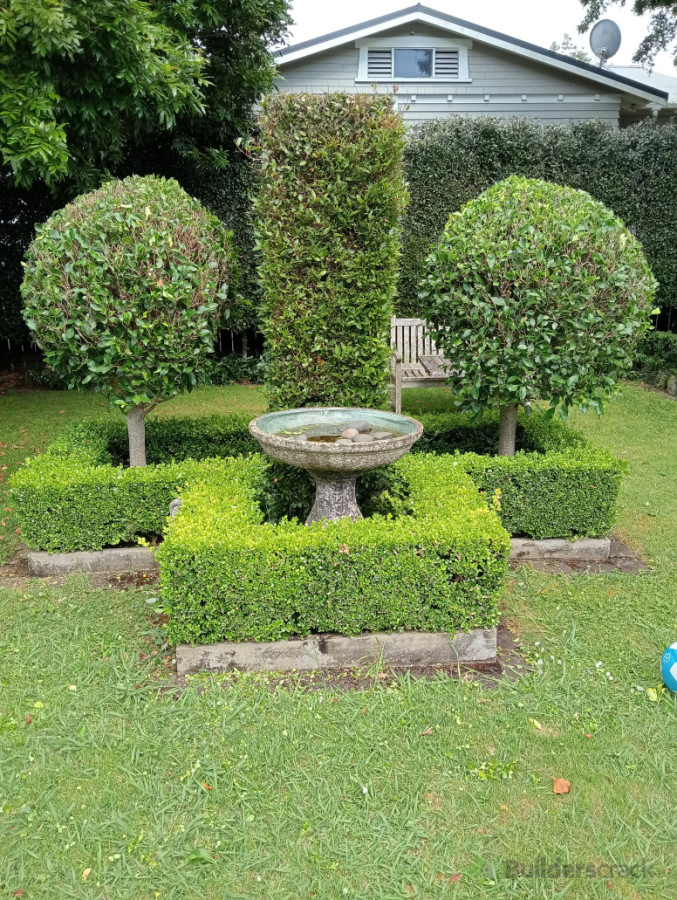 Trimming services and on going maintenance