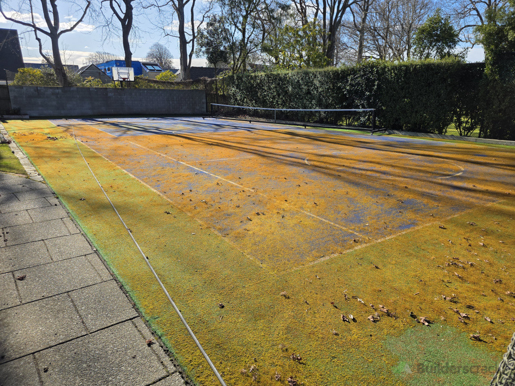 Moss removal BEFORE
