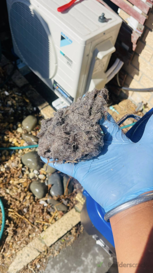 hair from carpet cleaning dirty water