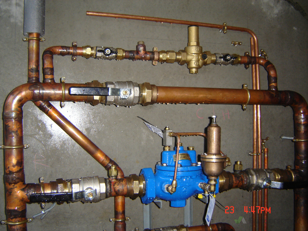 scenic circle - Paihia