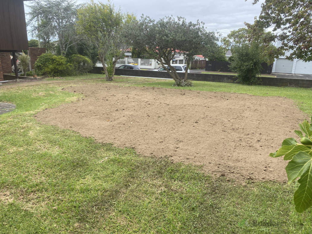 Lawn Reinstated with top soil and grass seed