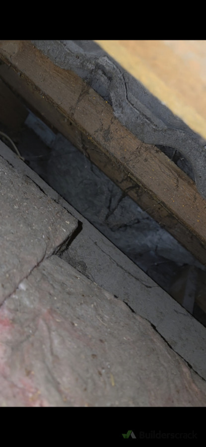 Neutralized Wasp Nest after treatment