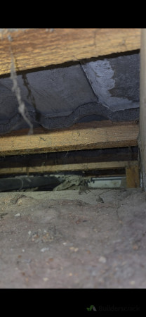 Physical removal of the wasp nest