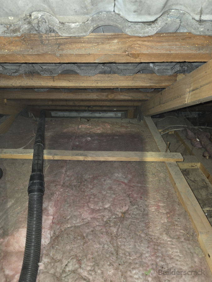 Whole wasps nest and dead wasps removed professionally from the roof void