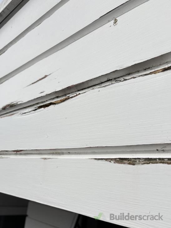 Looking for a Wizard with Builders Bog (#1212680) | Builderscrack