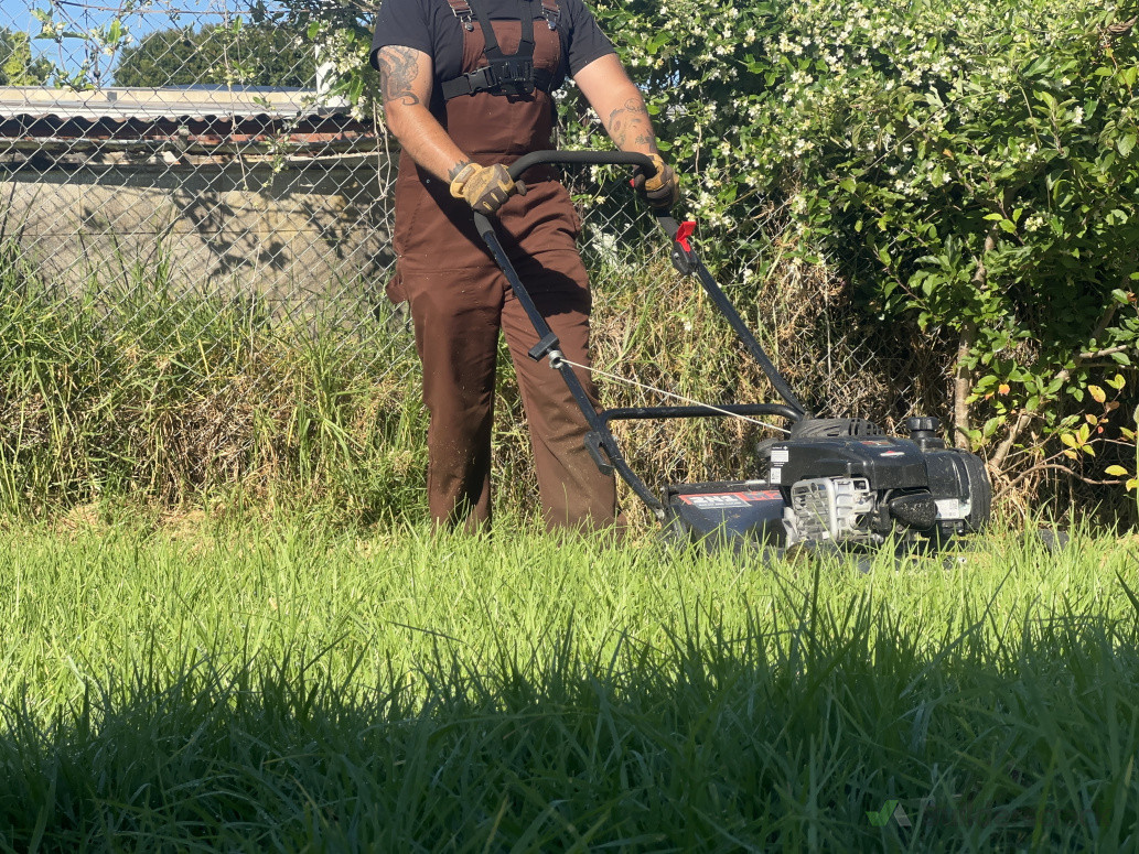 Maintenance Mowing