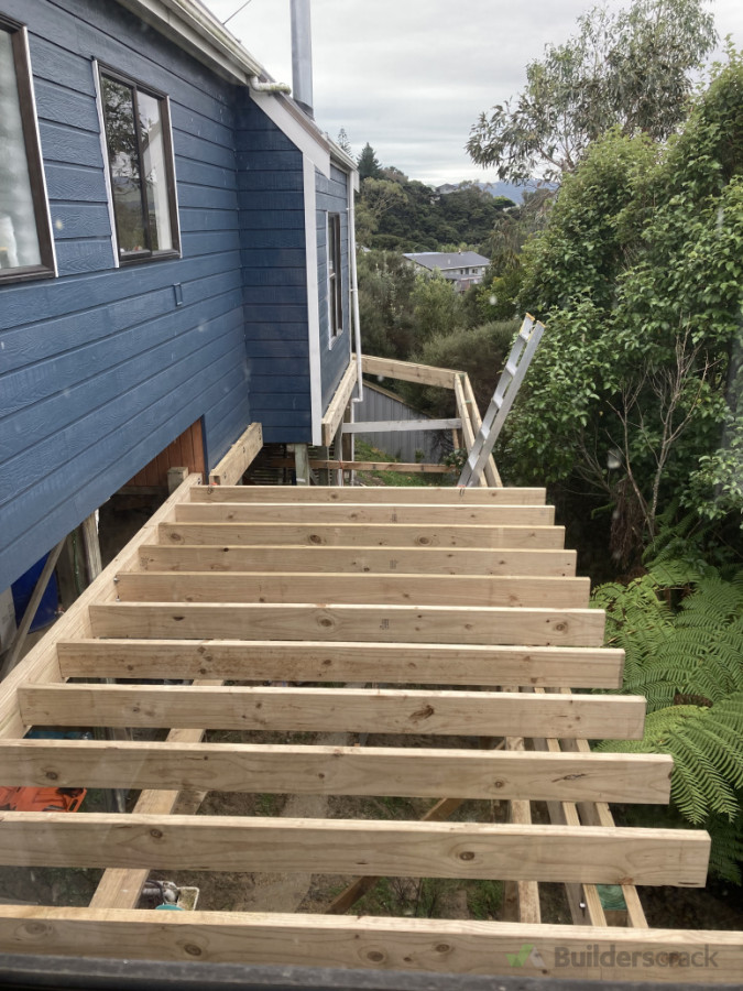 Piles in and framing underway.