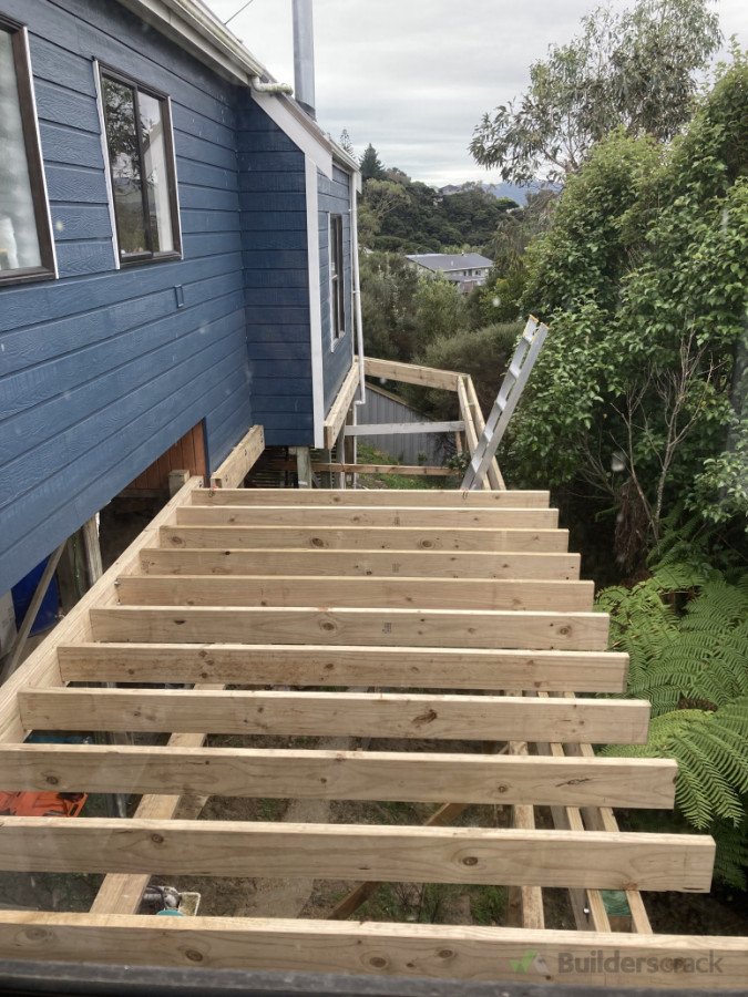 Piles in and framing underway.