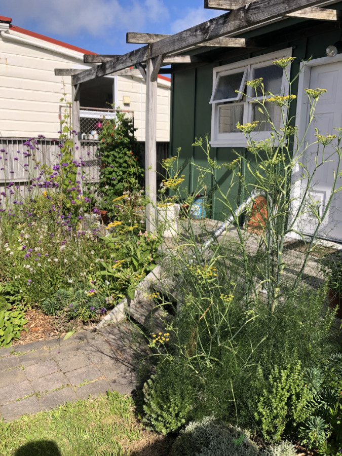 Cottage garden