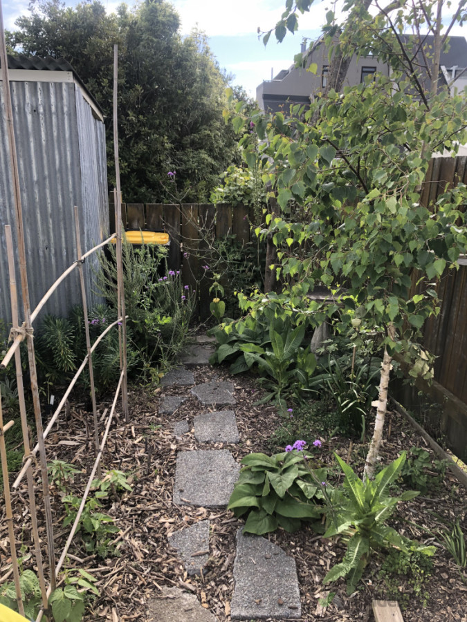 Path and surrounding garden beds