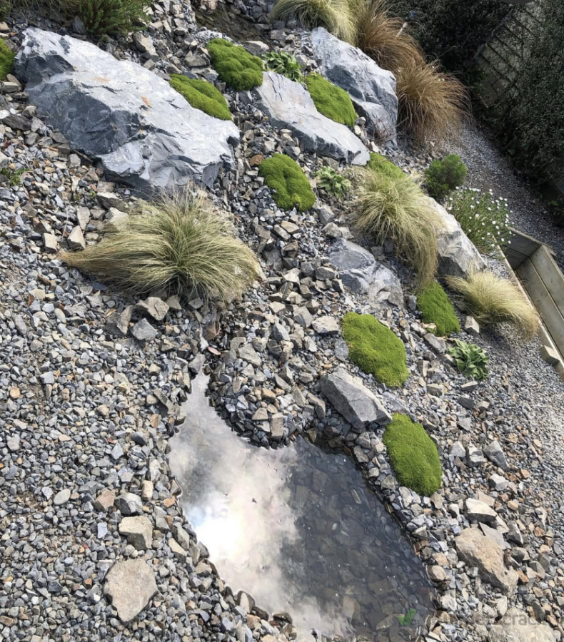Rockery with pond addition