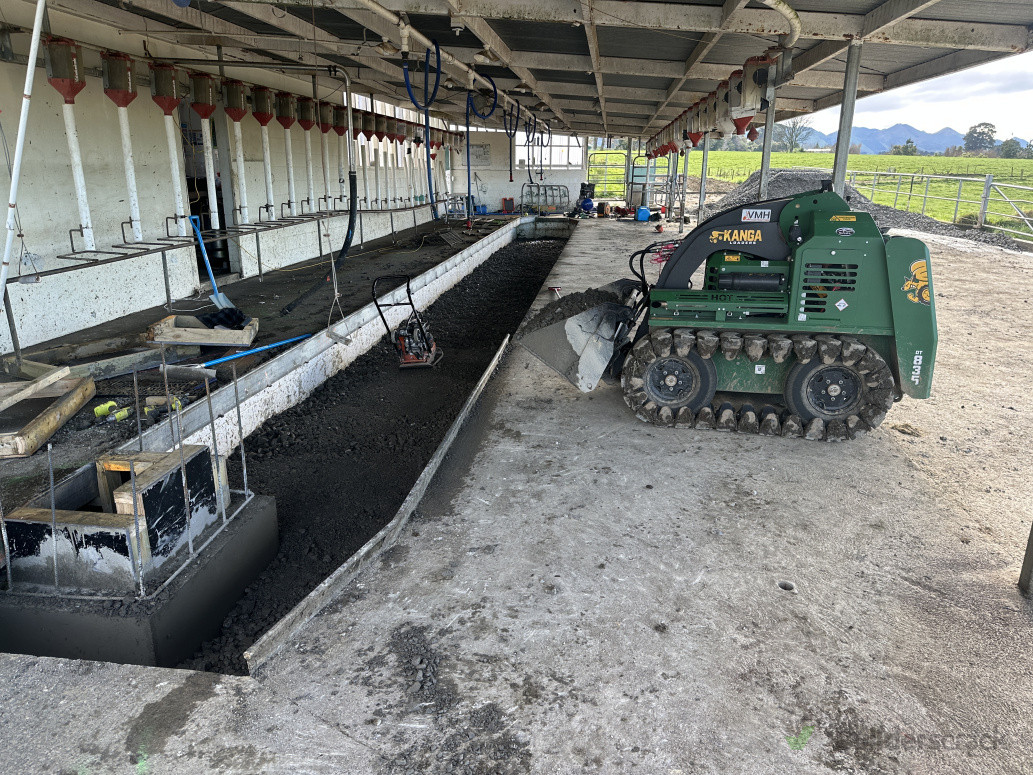 Fill in of an old dairy shed