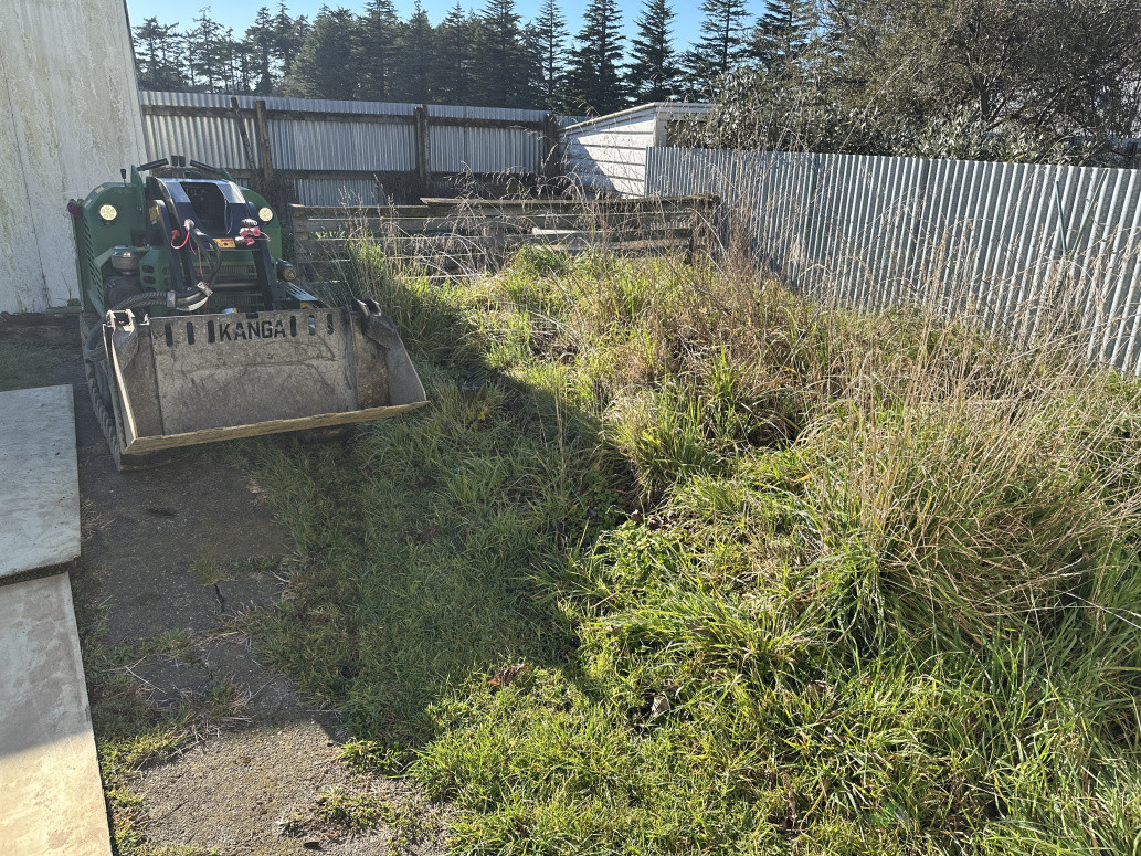 Section clearing BEFORE