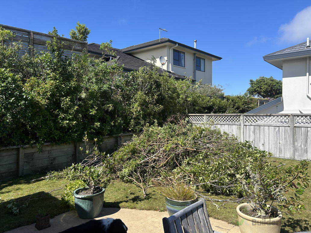 Tree trimming and mulching