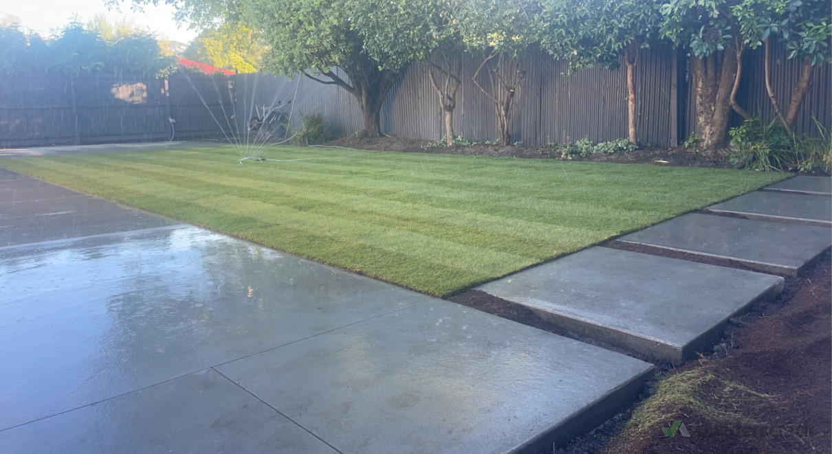 Sponge Finished Concrete, New Turf