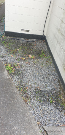 After..  And Sprayed