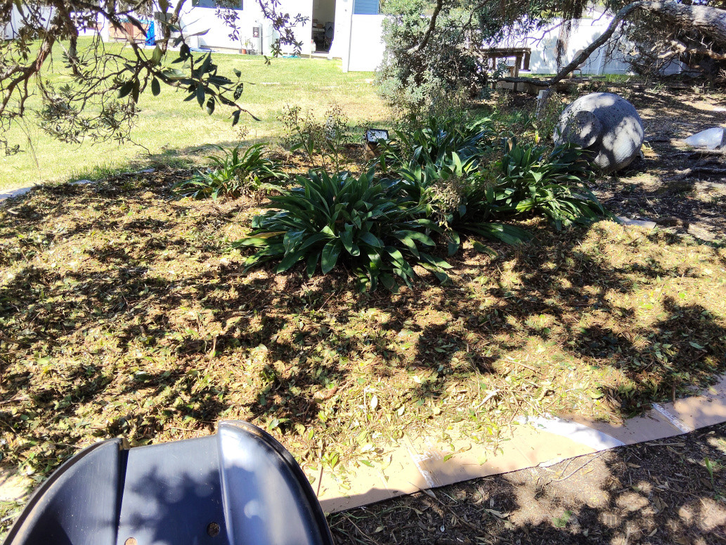 Can do simple jobs like mulching