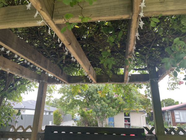 Underneath the pergola