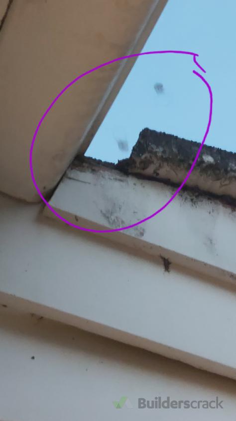 Job image