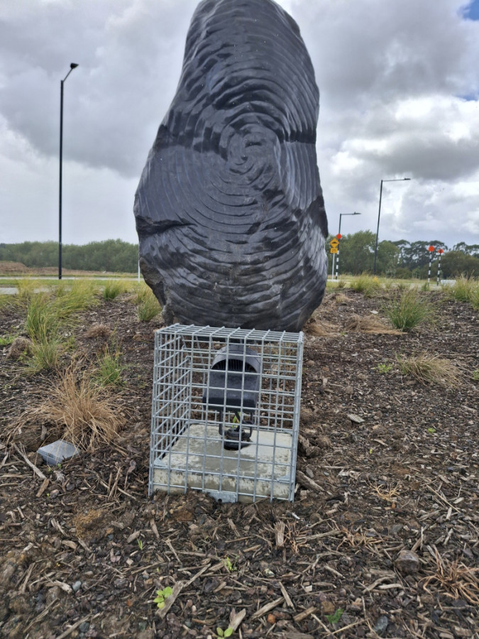 Uplight foundation with steel cage