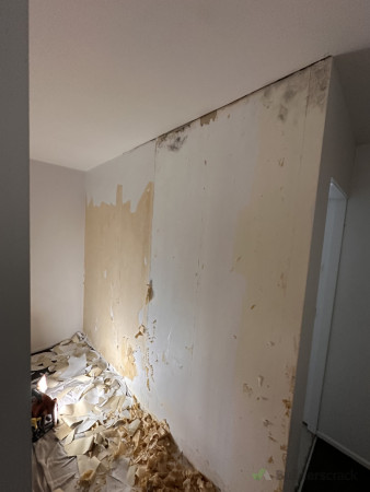 Prep off wallpaper damaged