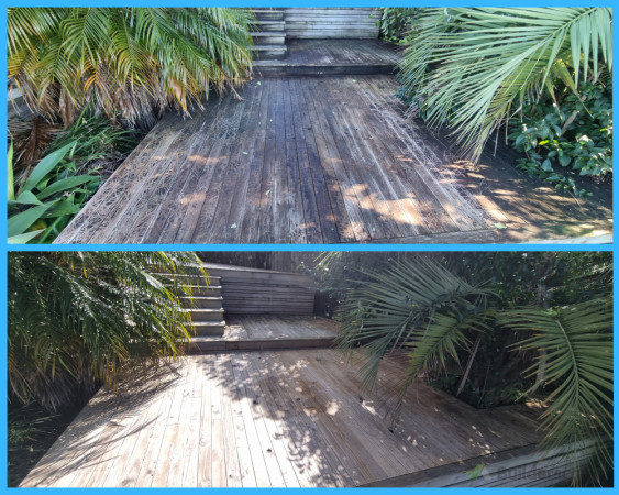 Pine Deck