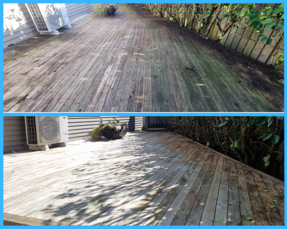 Pine Deck