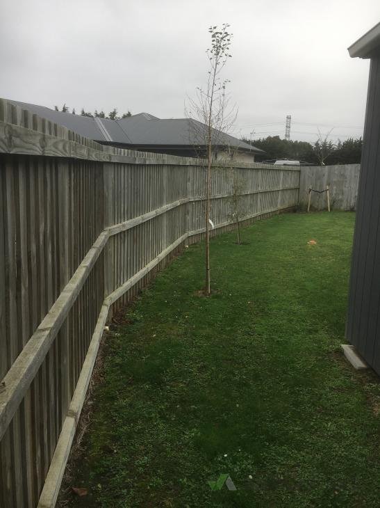 Fence Painting ( 211170) Builderscrack