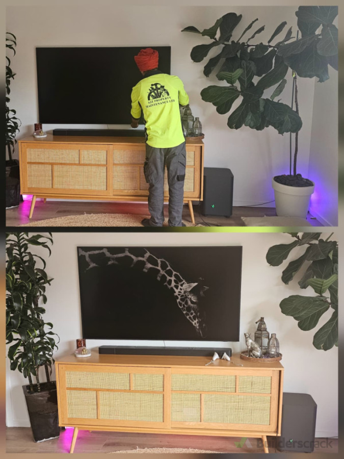 fully equipped handyman & assistant