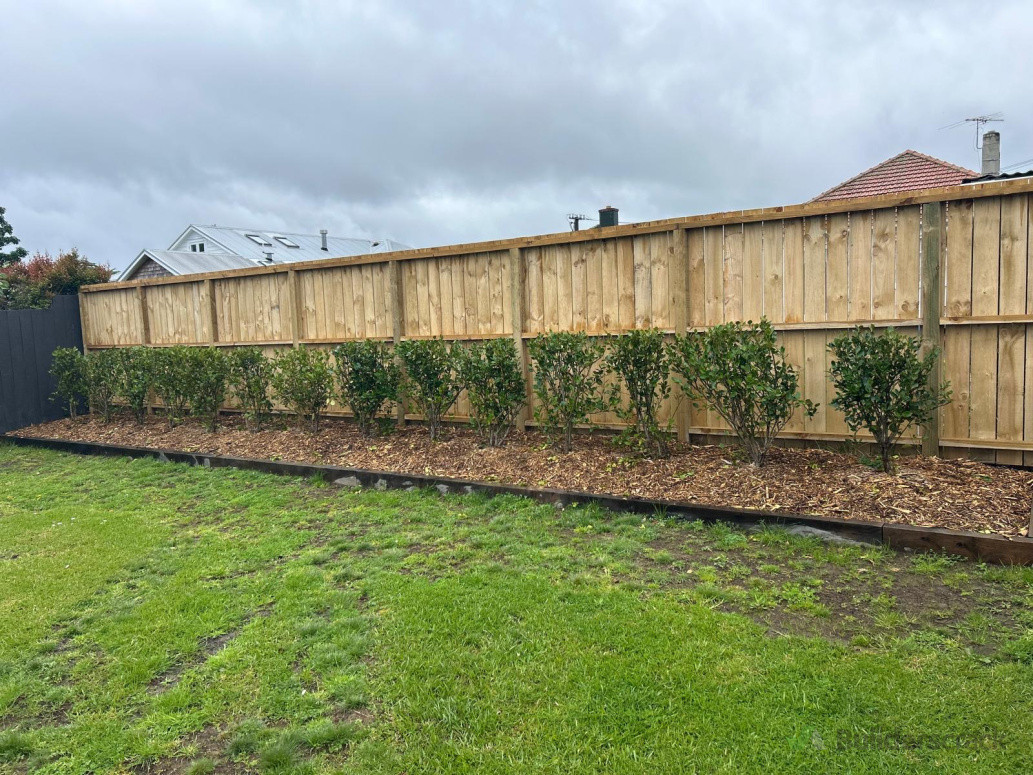 Removed hedge install timber fence and lay sleepers for a small raised garden