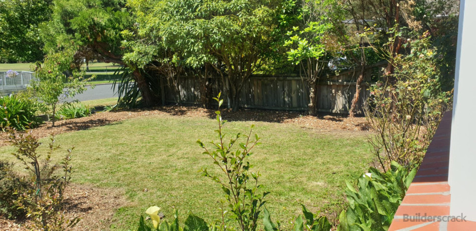 After, Lower Branches Removed, Bark Added..