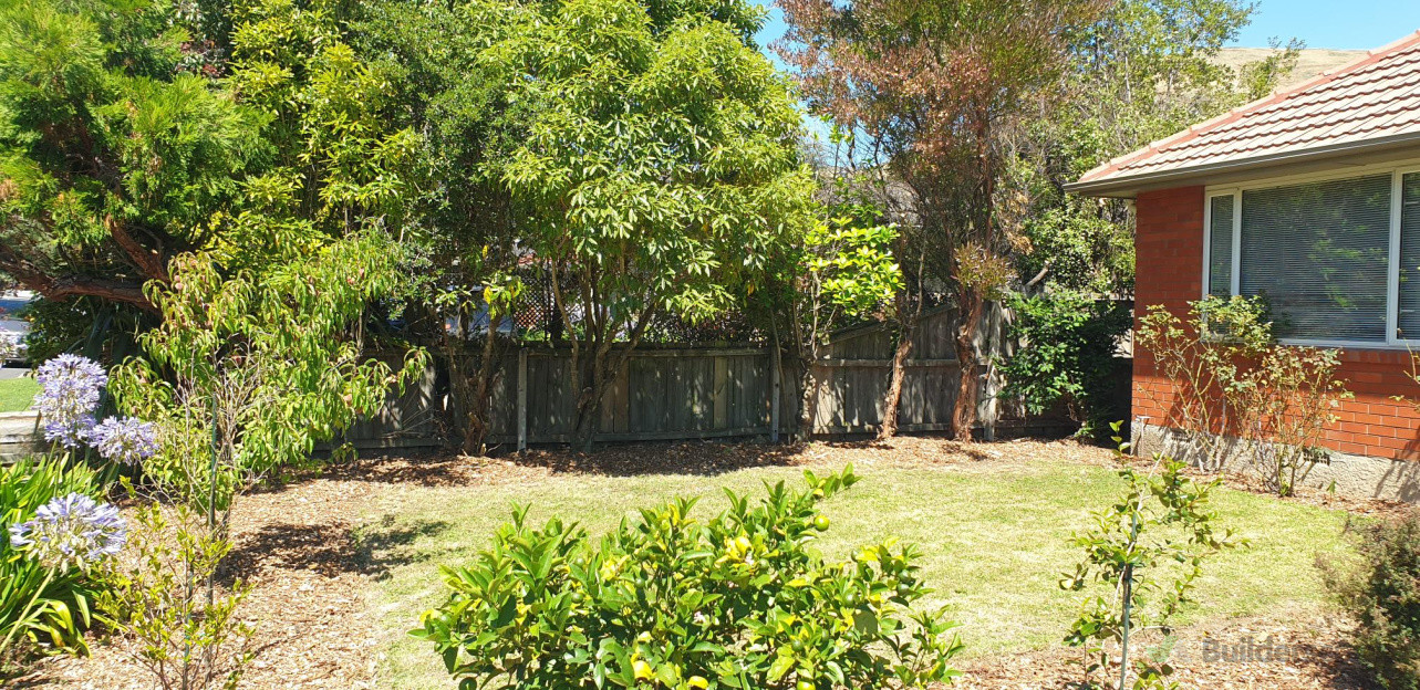 After, Lower Branches Removed, Bark Added