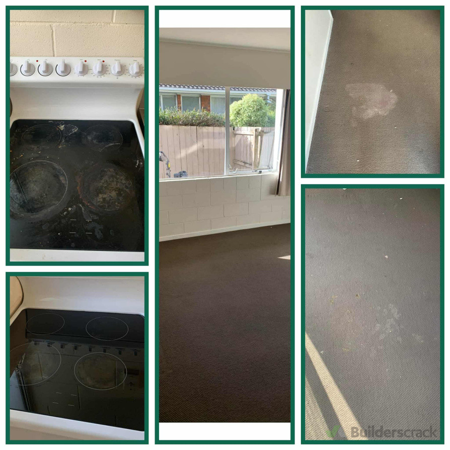 Tenancy move out & carpet clean