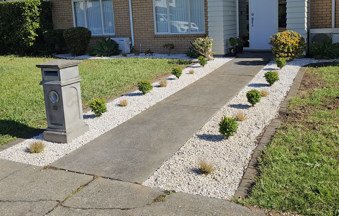 Removal of old plants and replaced with new ones