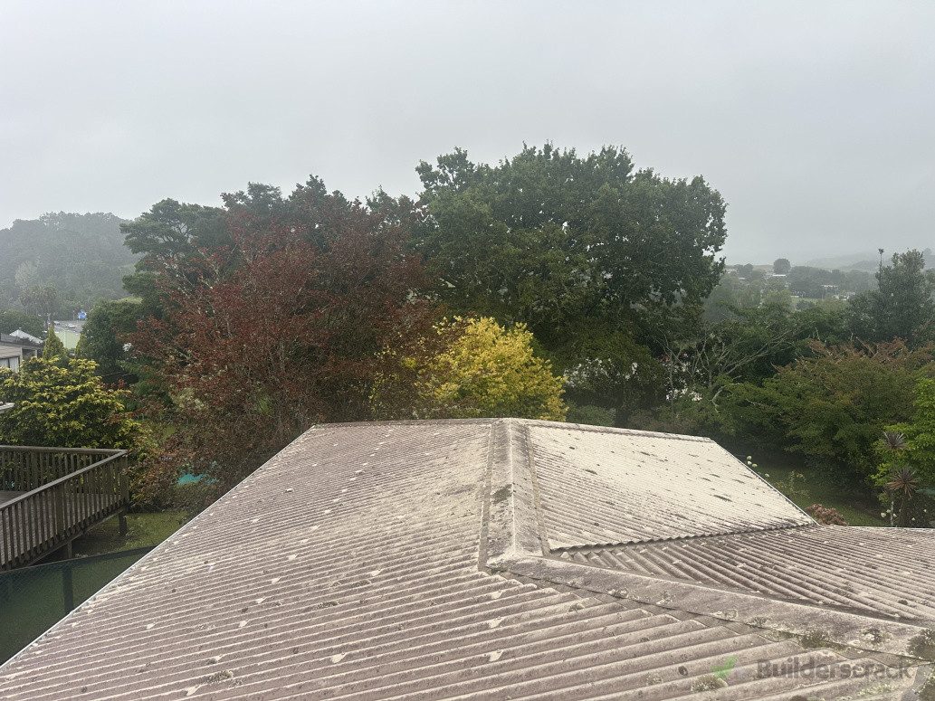 Roof before washing