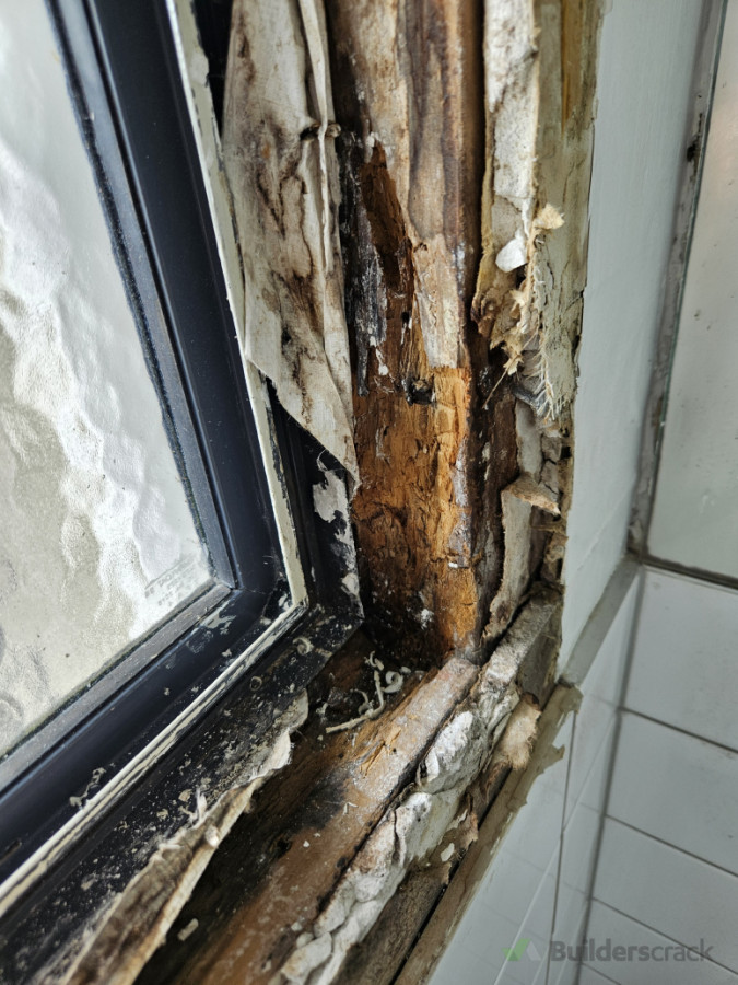 Rot issues not a problem for us to sort out for you