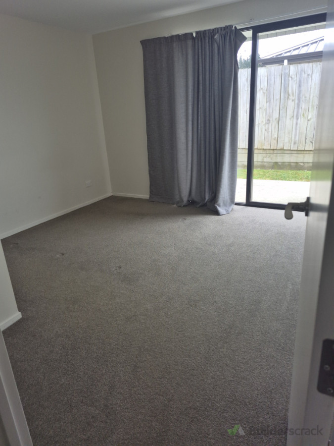 Carpet cleaning