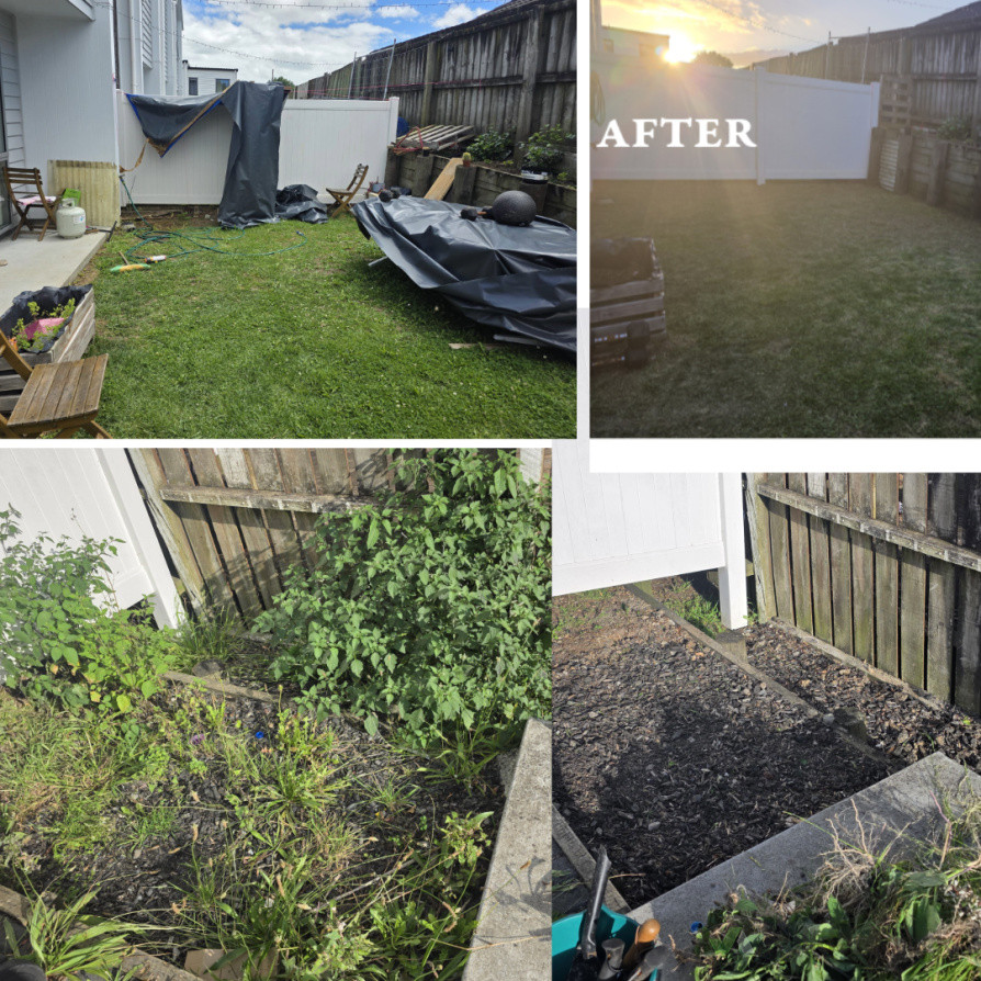 From overgrown to organized. Completed yard clearing and garden restoration