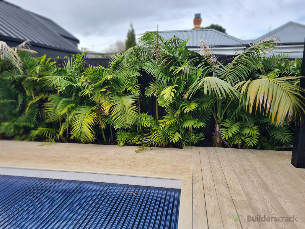 Tropical Pool Area, Grey Lynn