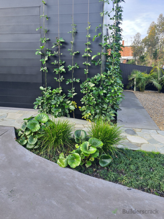 Lush Green Layers, Auckand City