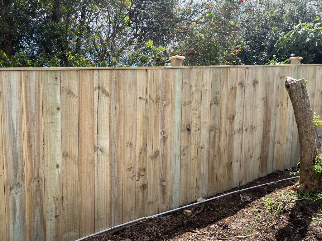 New fence