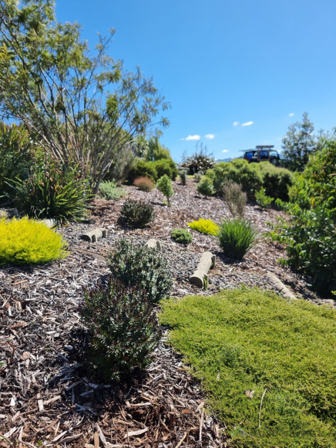 Landscaping- Planting - Weedmatt layed - woodchip/mulch layed