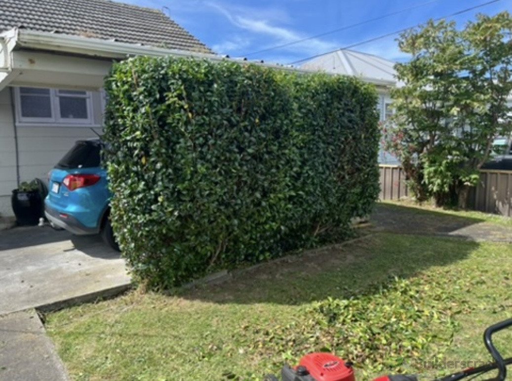 After Hedge Trimming